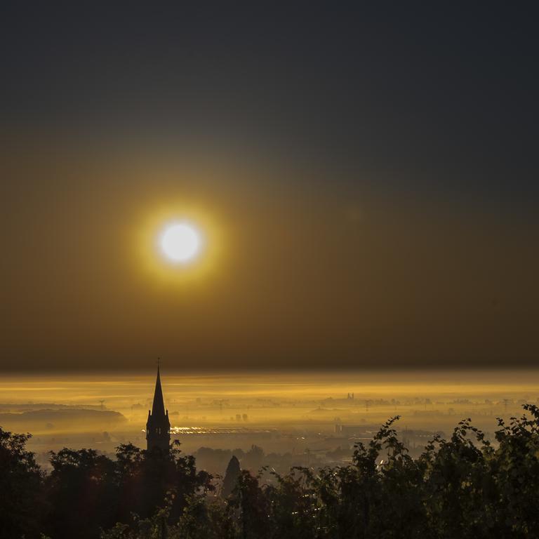 Le P'Tit Coin De Chez Nous Villa Dambach Dış mekan fotoğraf