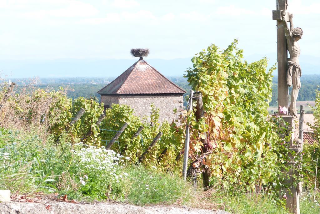 Le P'Tit Coin De Chez Nous Villa Dambach Dış mekan fotoğraf