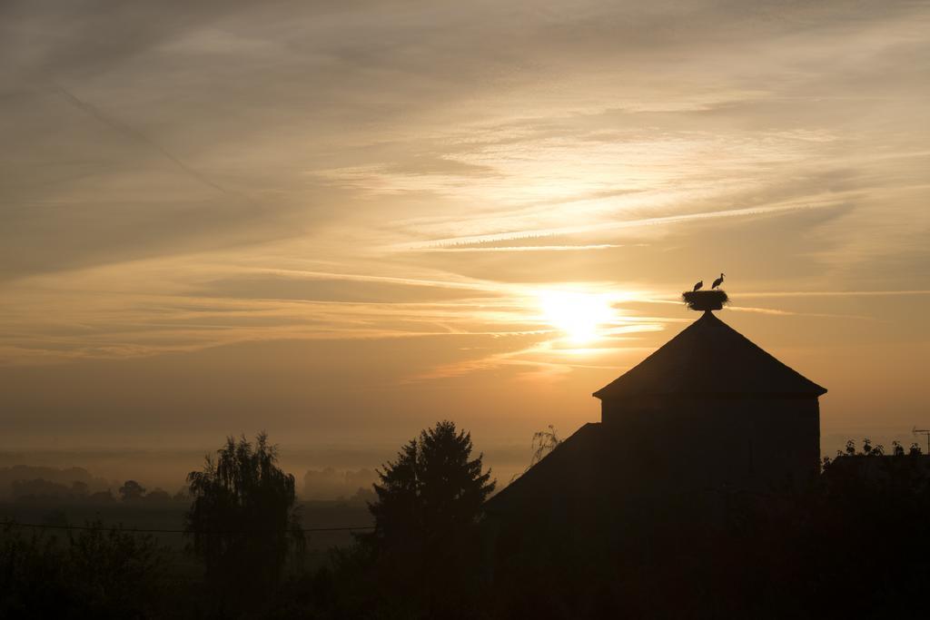 Le P'Tit Coin De Chez Nous Villa Dambach Dış mekan fotoğraf