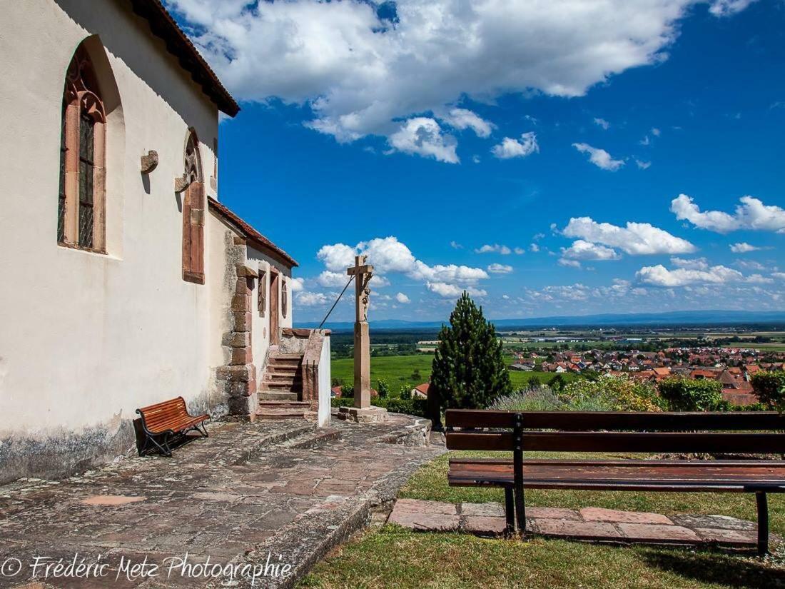 Le P'Tit Coin De Chez Nous Villa Dambach Dış mekan fotoğraf