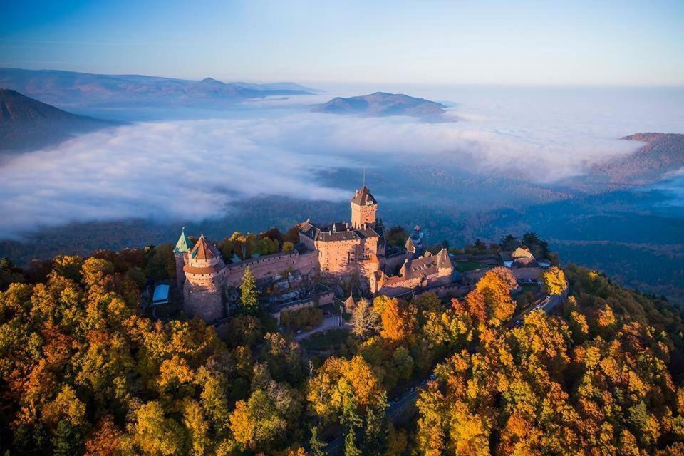 Le P'Tit Coin De Chez Nous Villa Dambach Dış mekan fotoğraf