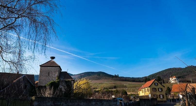 Le P'Tit Coin De Chez Nous Villa Dambach Dış mekan fotoğraf